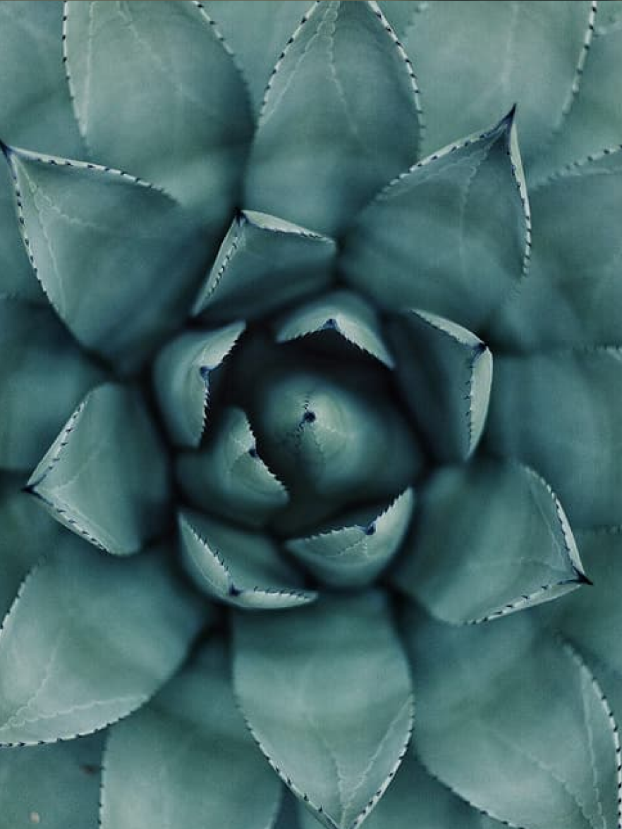 Shop Bathroom Accessories