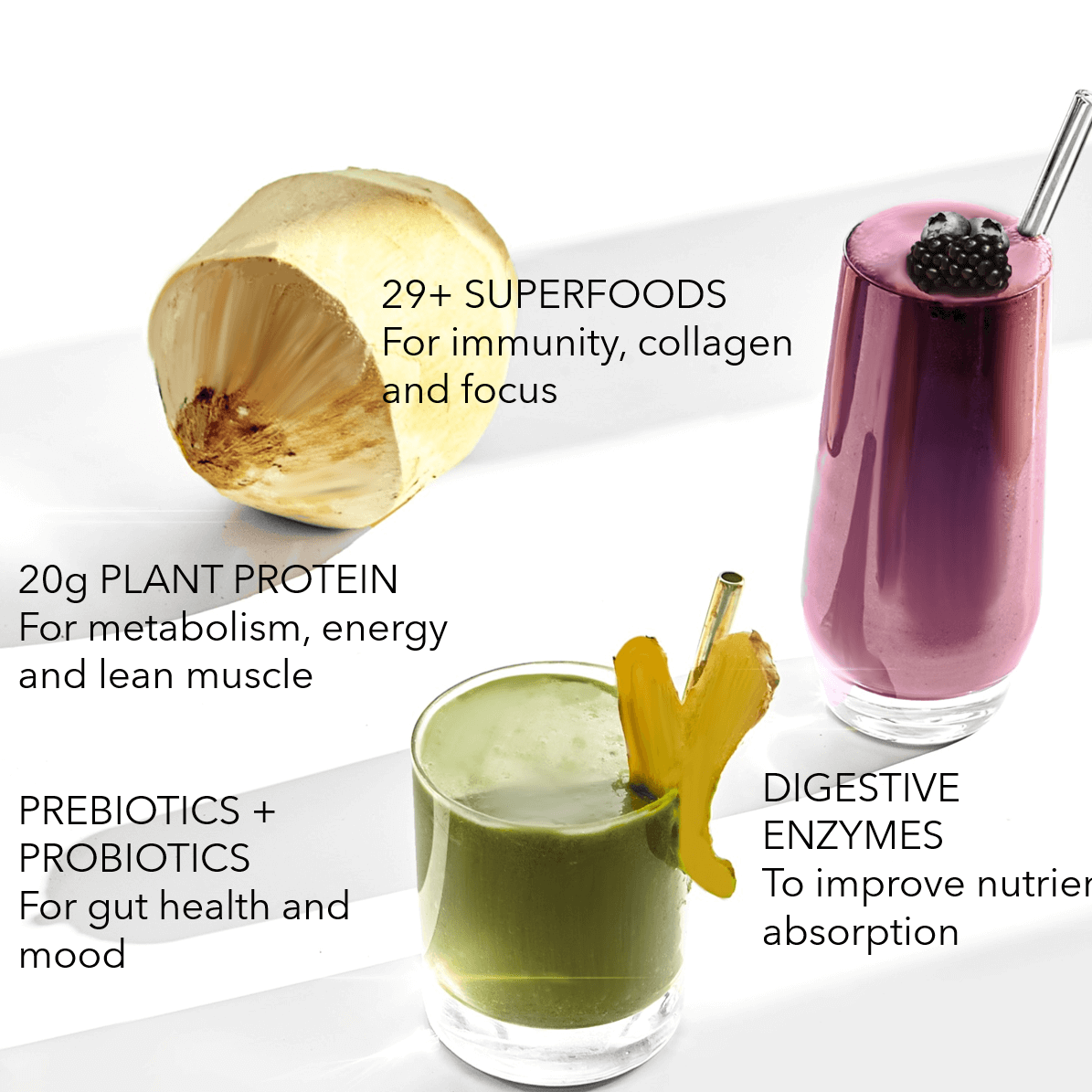 Plant Protein + Superfood Smoothie Mix (30 Pack)