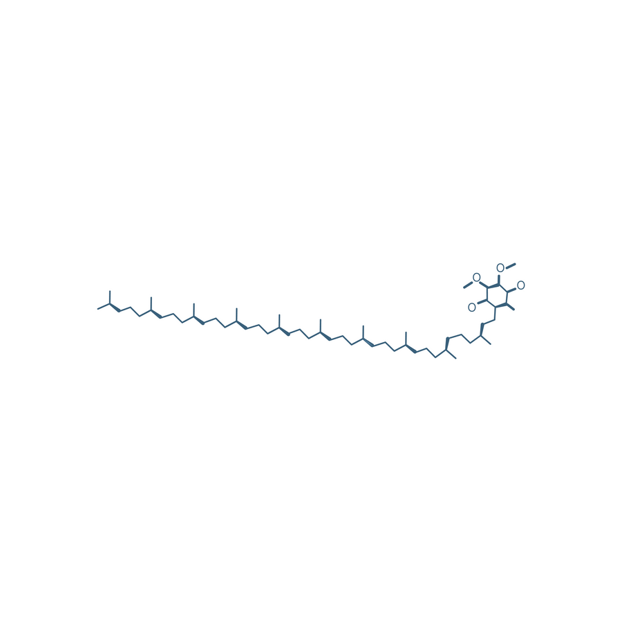 Coenzyme Q10 Retard