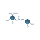 Curcumin + Piperine