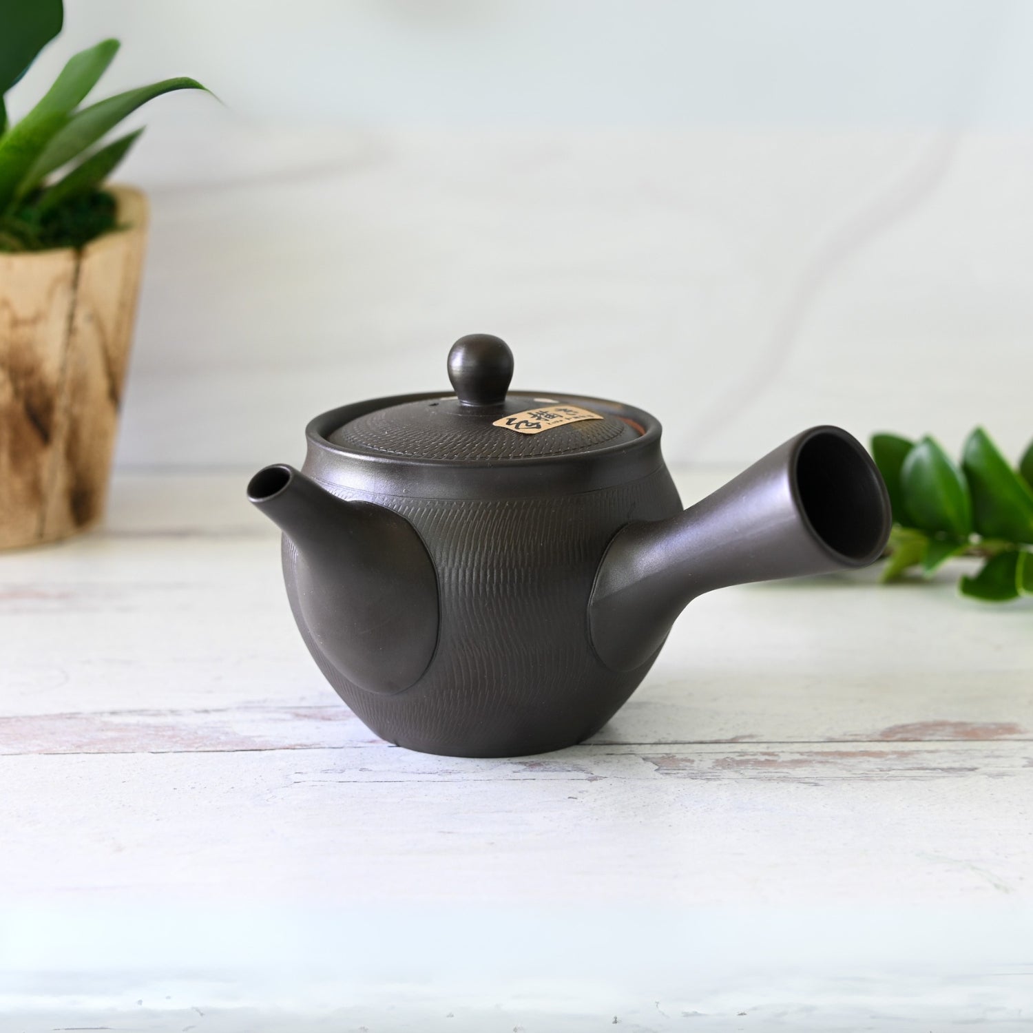 Handcrafted Japanese Kyusu Teapot with Filters (350 ml) by Aprika Life