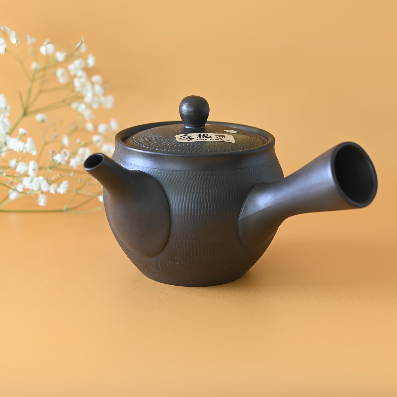 Handcrafted Japanese Kyusu Teapot with Filters (350 ml) by Aprika Life