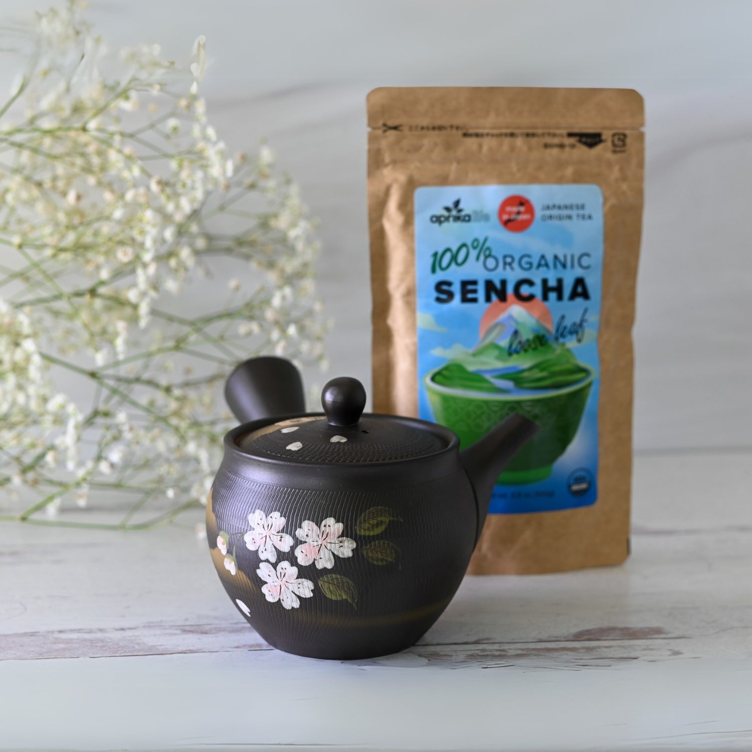 Handcrafted Japanese Kyusu Teapot with Filters (350 ml) by Aprika Life