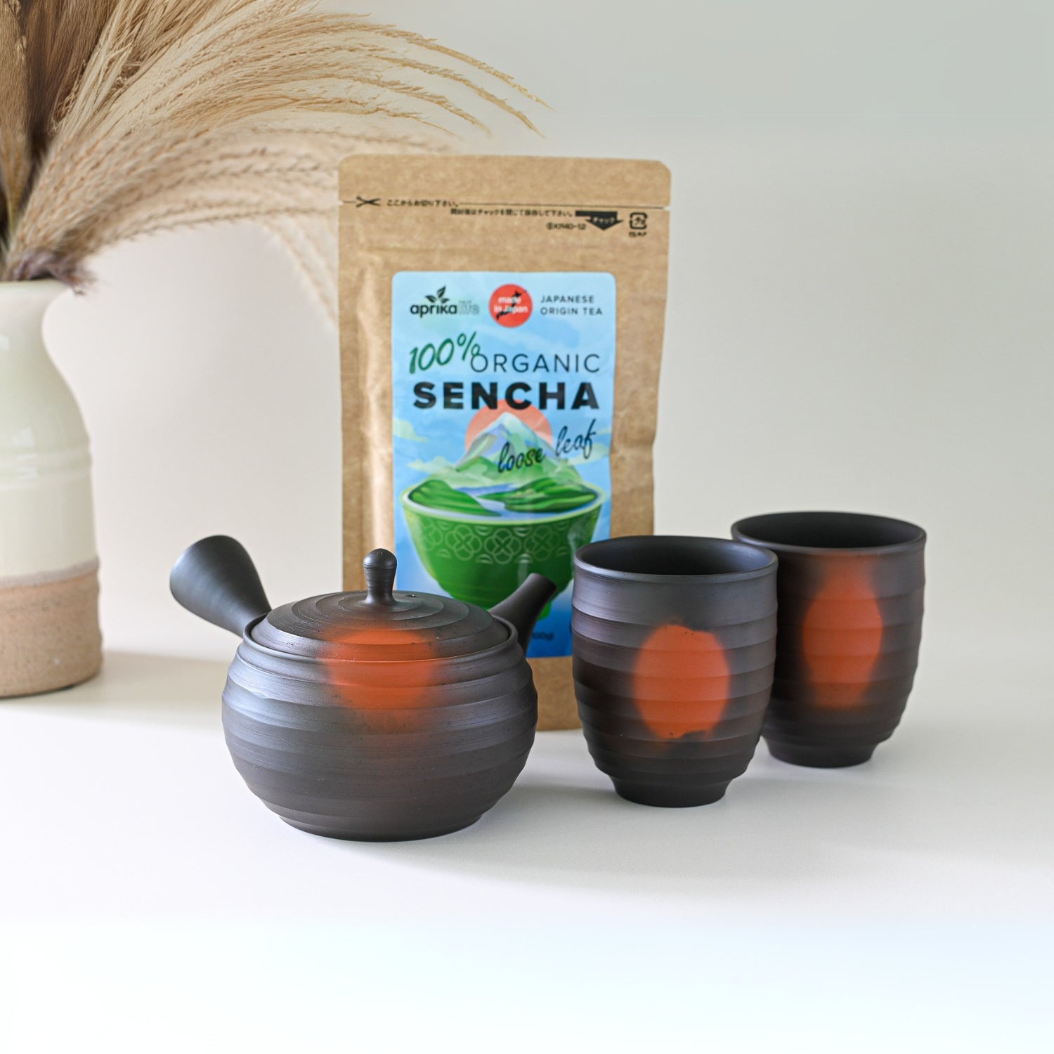 Japanese Kyusu Set - Teapot with Filters (270ml) and Two Cups by Aprika Life