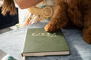 Writers using the Romanticize Your Life Journal in a peaceful environment.