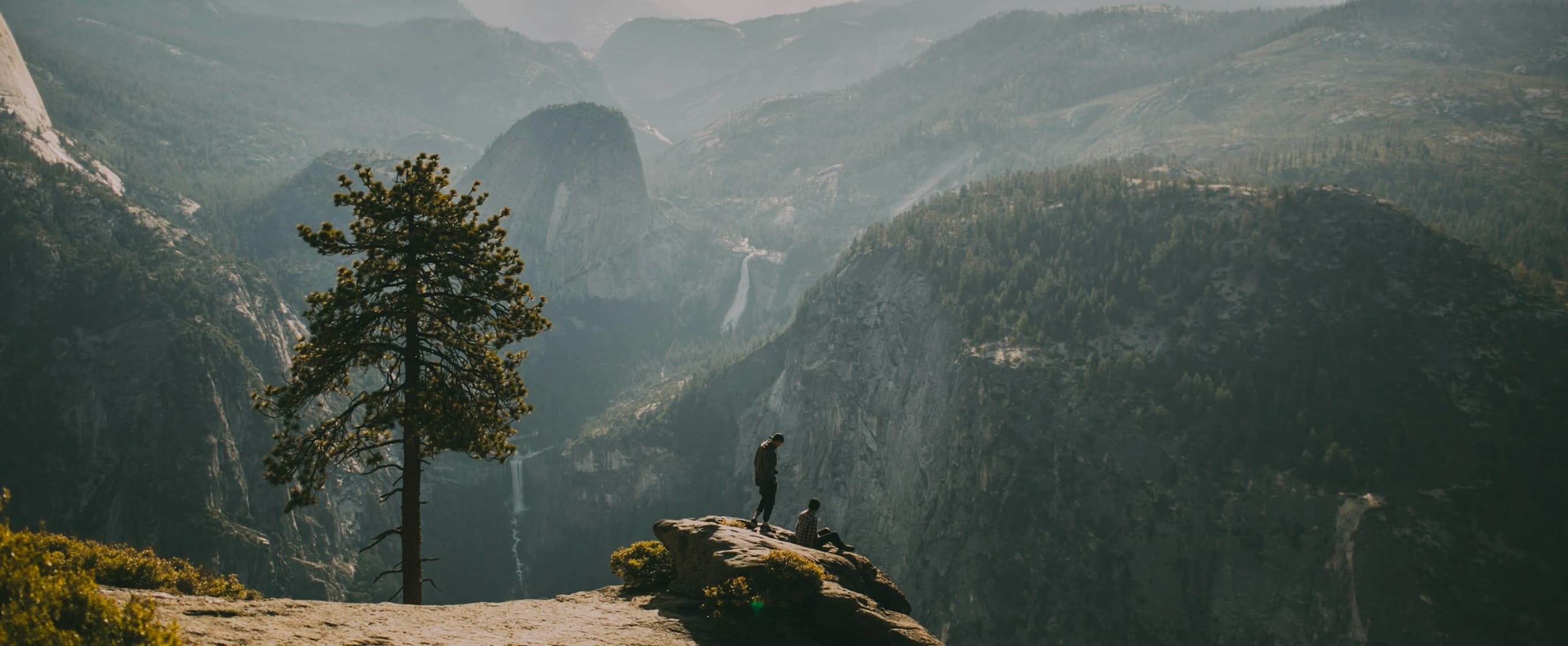 Start Your <i>Botano</i> Journey