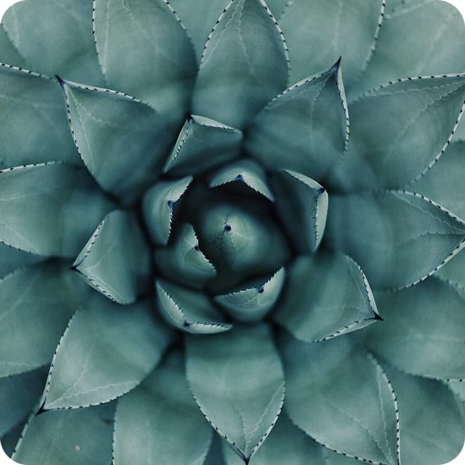 Shop Nutrition Essentials