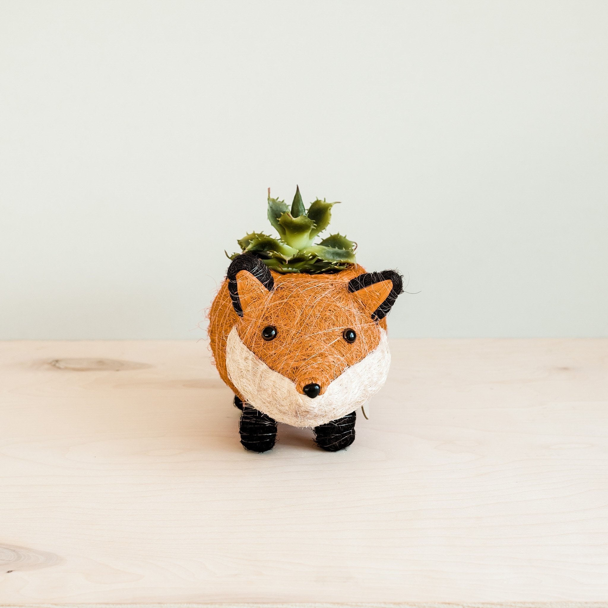 Baby Fox Planter - Handmade Pot | LIKHÂ