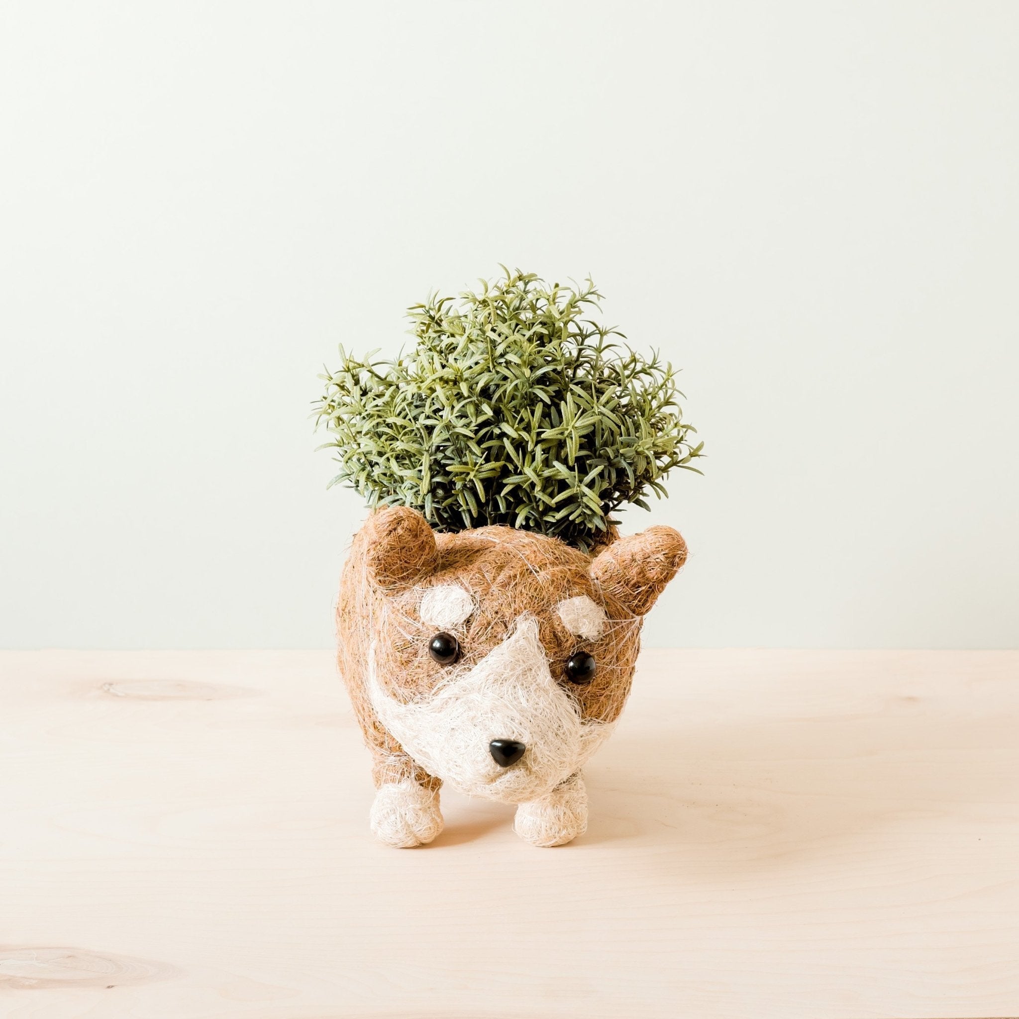 Corgi Succulent Pot - Handmade Planters | LIKHÂ by LIKHÂ