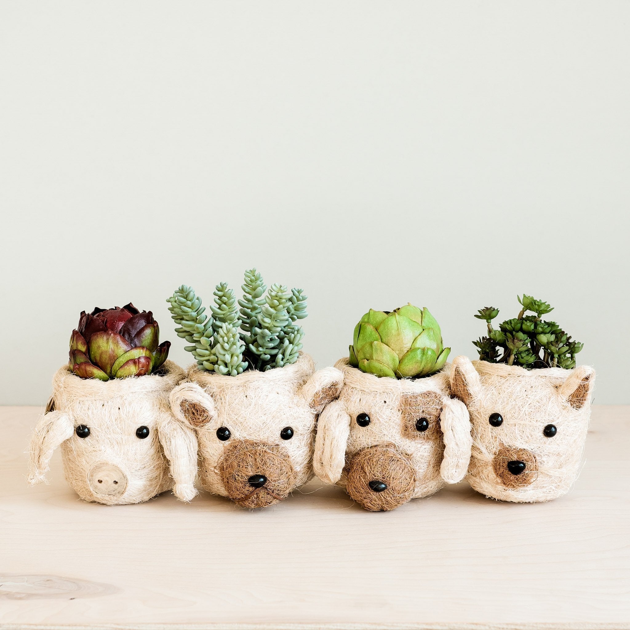 Dog Succulent Planter - Animal Head Plant Pot | LIKHÂ by LIKHÂ