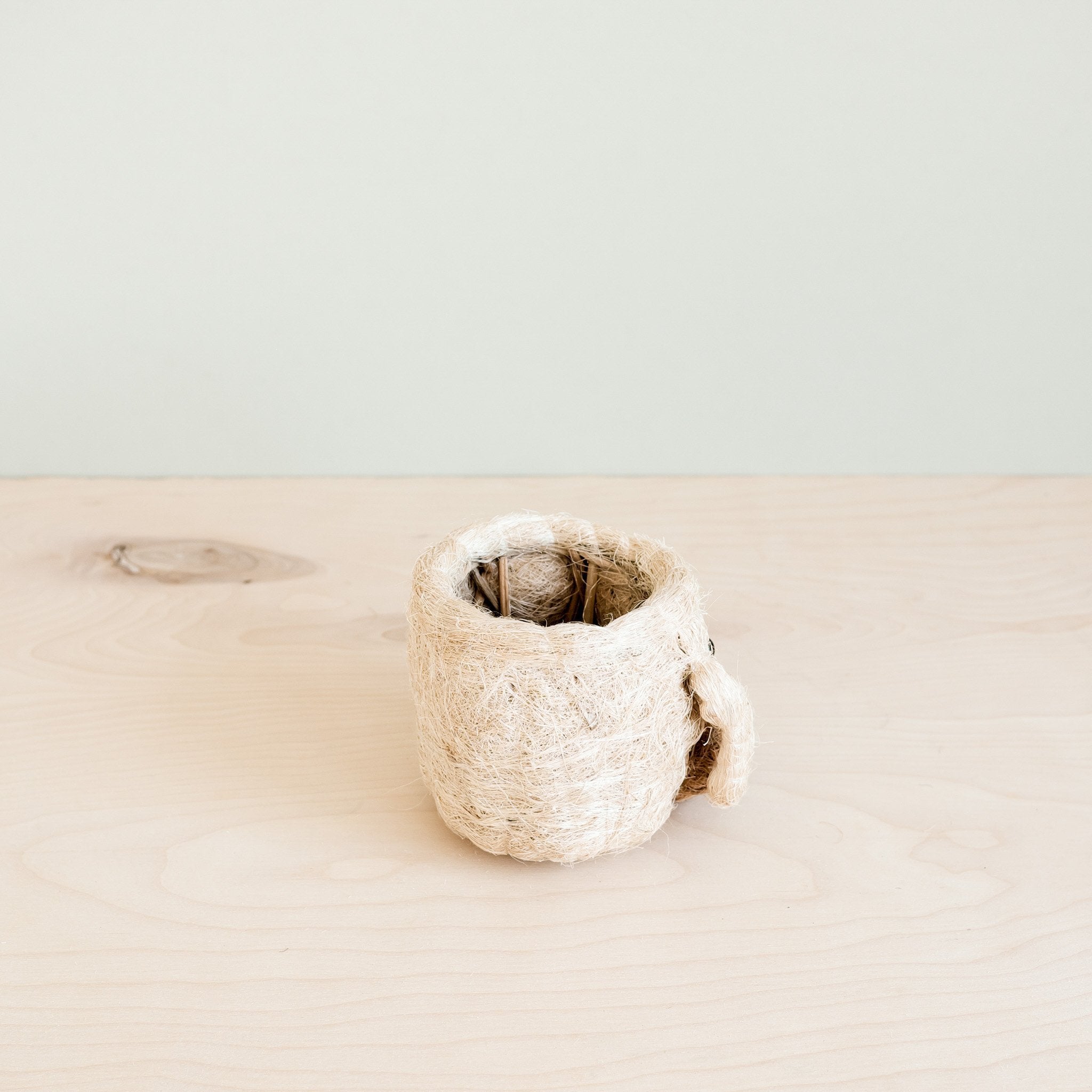 Dog Succulent Planter - Animal Head Plant Pot | LIKHÂ by LIKHÂ