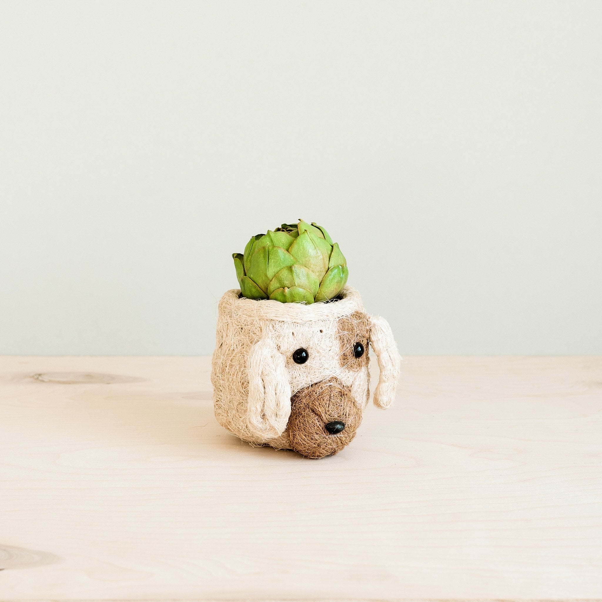 Dog Succulent Planter - Animal Head Plant Pot | LIKHÂ by LIKHÂ