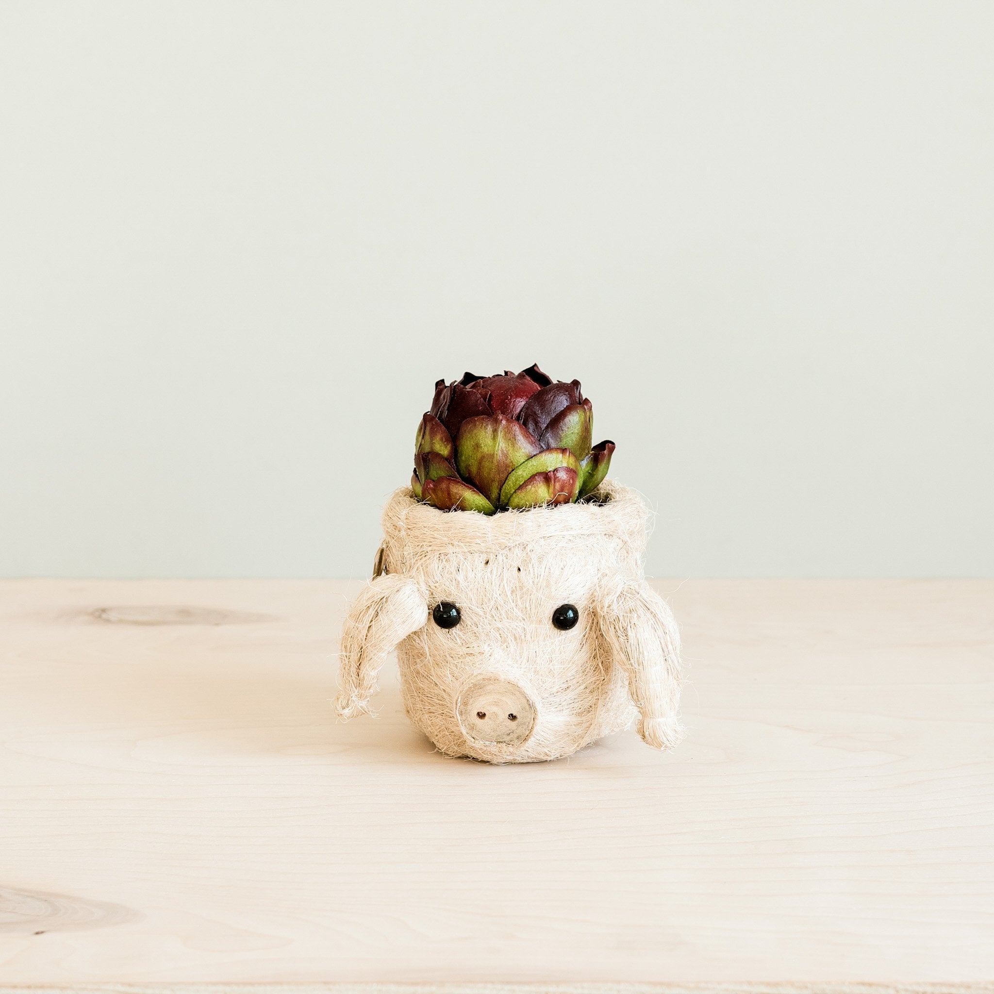 Pig Plant Pot - Animal Head Plant Pot | LIKHÂ by LIKHÂ