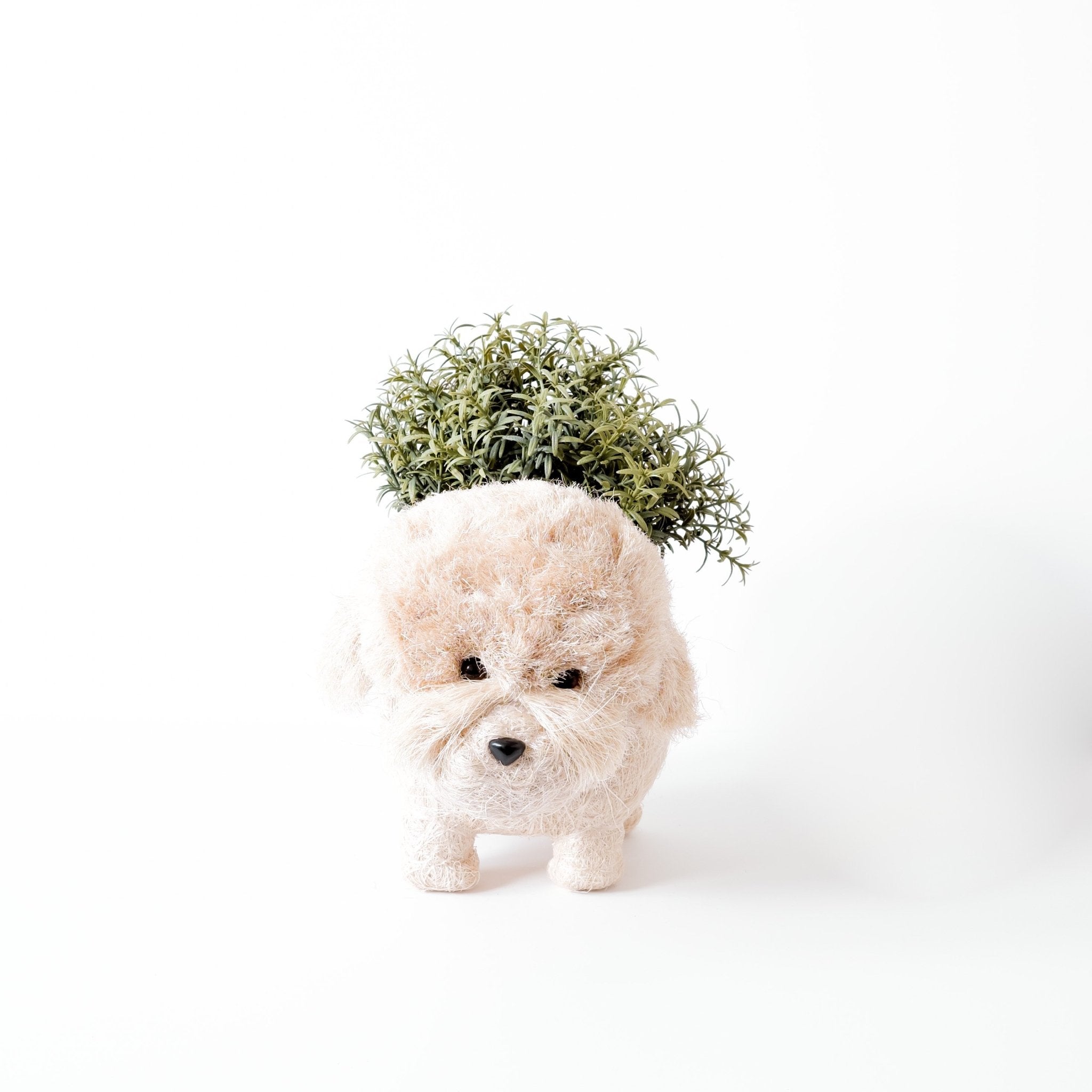 Poodle Planter - Coco Coir Pots | LIKHÂ by LIKHÂ