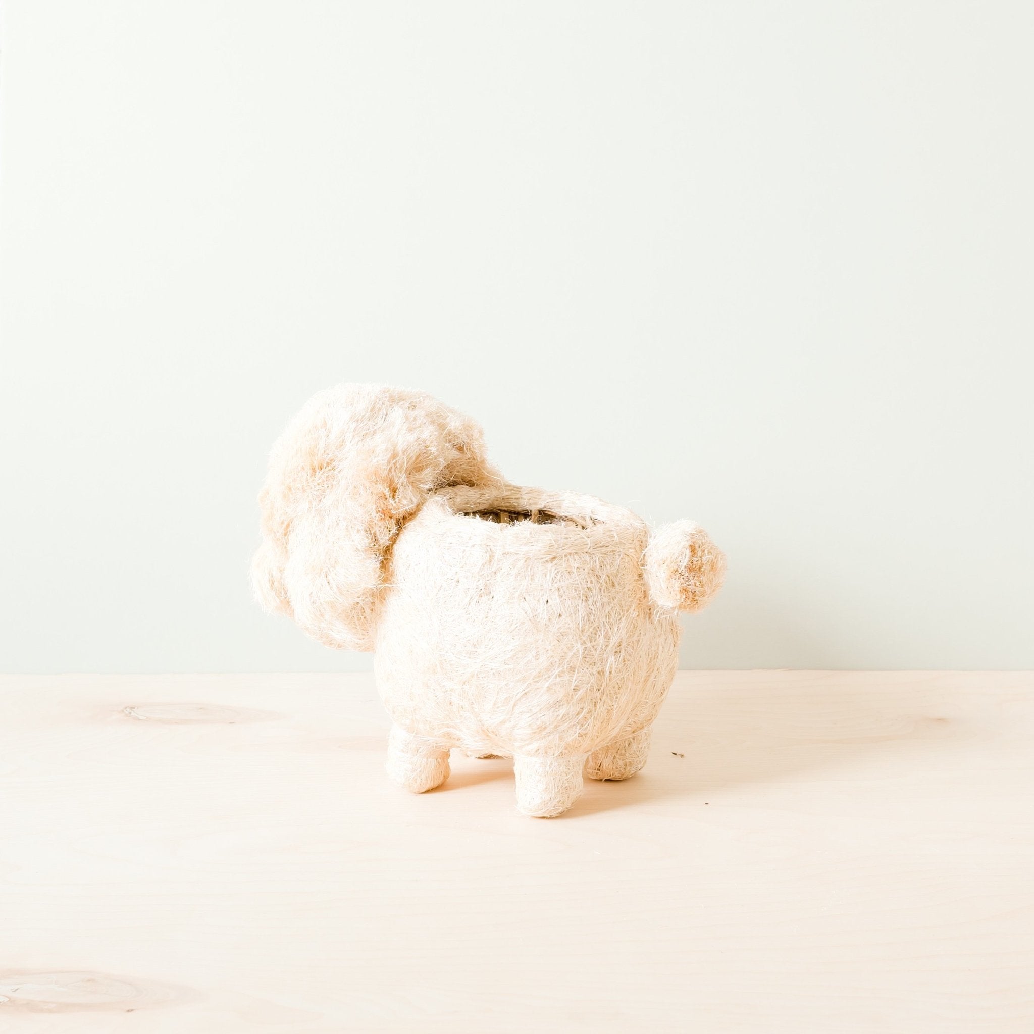 Poodle Planter - Coco Coir Pots | LIKHÂ by LIKHÂ